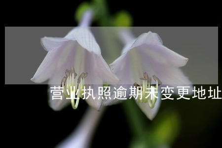 营业执照逾期未变更地址怎么办理 营业执照逾期未变更地址怎么办理