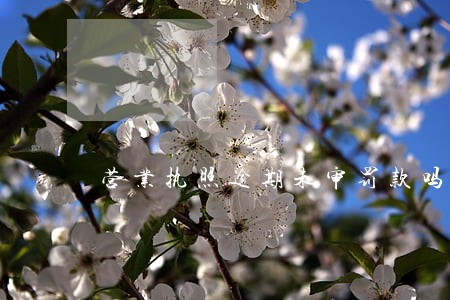 营业执照逾期未审罚款吗