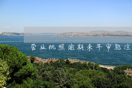 营业执照逾期未年审能注销吗