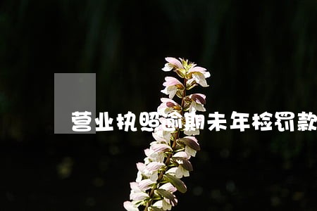 营业执照逾期未年检罚款 营业执照逾期未年检罚款