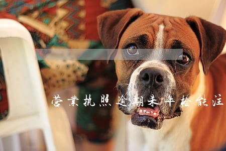 营业执照逾期未年检能注销吗