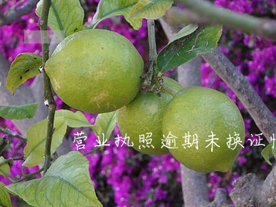 营业执照逾期未换证情况说明 营业执照逾期未换证情况说明