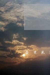 营业执照逾期未检的后果是什么