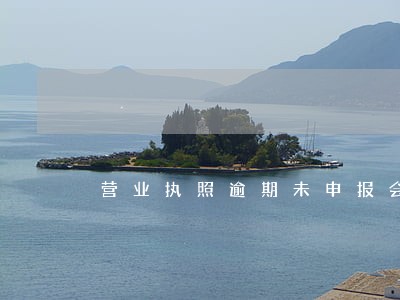 营业执照逾期未申报会怎么处理