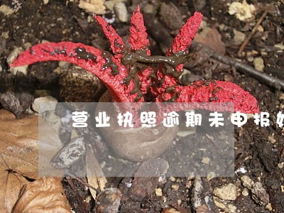 营业执照逾期未申报如何处理 营业执照逾期未申报如何处理