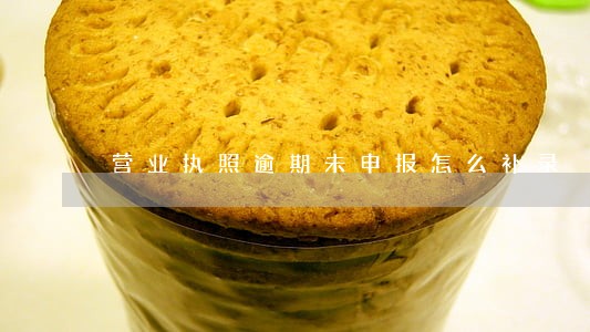 营业执照逾期未申报怎么补录 营业执照逾期未申报怎么补录