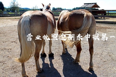 营业执照逾期未申报第一次怎么办