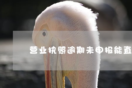营业执照逾期未申报能直接注销吗