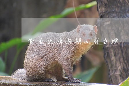 营业执照逾期没有办理