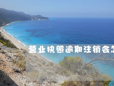 营业执照逾期注销会怎么样 营业执照逾期注销会怎么样