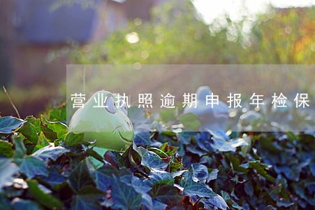 营业执照逾期申报年检保证书