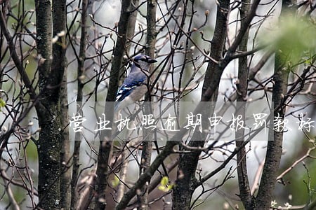 营业执照逾期申报罚款标准 营业执照逾期申报罚款标准
