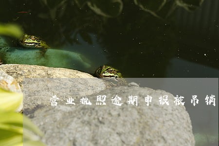 营业执照逾期申报被吊销 营业执照逾期申报被吊销
