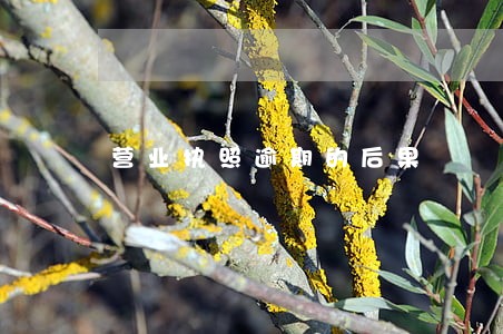 营业执照逾期的后果