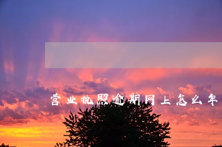 营业执照逾期网上怎么年审 营业执照逾期网上怎么年审