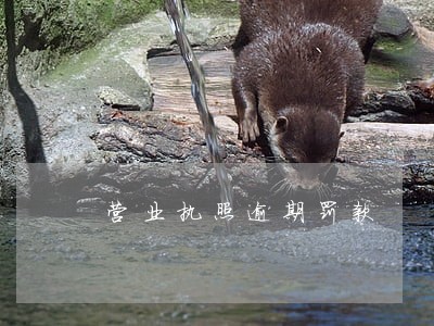 营业执照逾期罚款