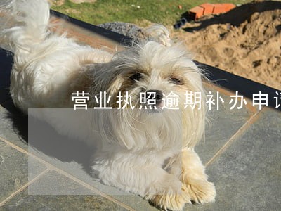 营业执照逾期补办申请书