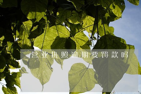 营业执照逾期要罚款吗