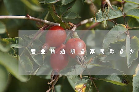 营业执逾期备案罚款多少 营业执逾期备案罚款多少