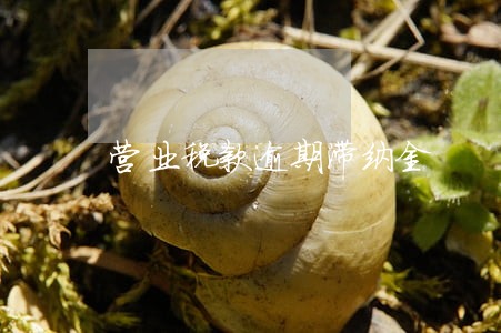 营业税款逾期滞纳金