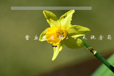 营业税逾期22天税务局补报 营业税逾期22天税务局补报