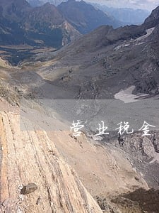 营业税金及附加申报逾期