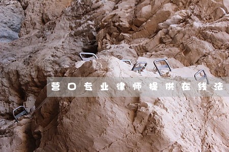 营口专业律师提供在线法律咨询 营口专业律师提供在线法律咨询