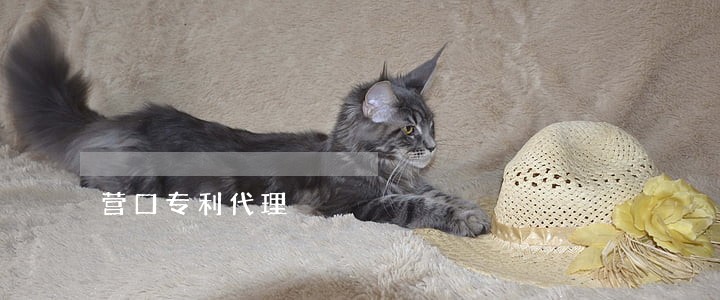 营口专利代理 营口专利代理