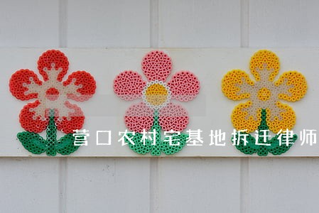 营口农村宅基地拆迁律师哪个有名