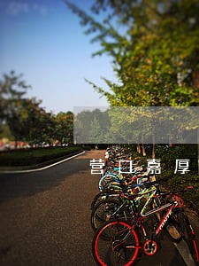 营口嘉厚房产法院拍卖 营口嘉厚房产法院拍卖