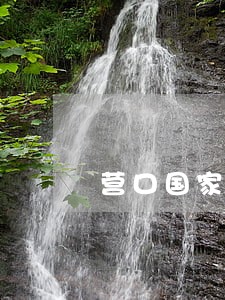 营口国家赔偿律师在线解答 营口国家赔偿律师在线解答
