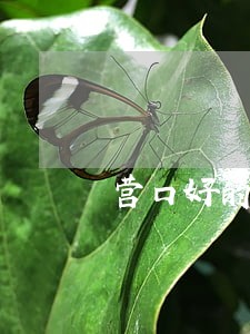 营口好的房产纠纷律师所 营口好的房产纠纷律师所