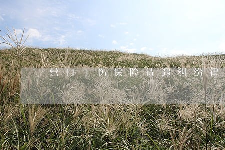 营口工伤保险待遇纠纷律师