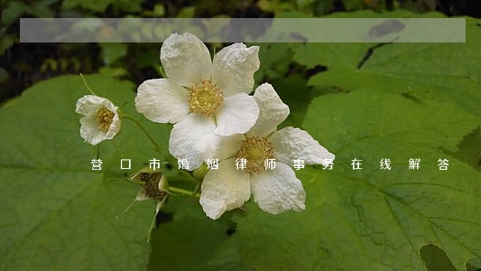 营口市婚姻律师事务在线解答 营口市婚姻律师事务在线解答