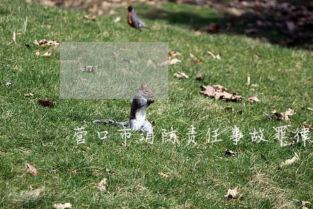营口市消防责任事故罪律师咨询 营口市消防责任事故罪律师咨询