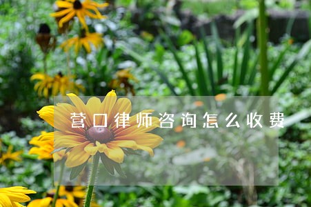营口律师咨询怎么收费 营口律师咨询怎么收费
