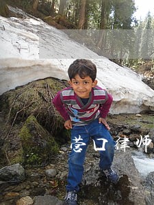 营口律师网 营口律师网