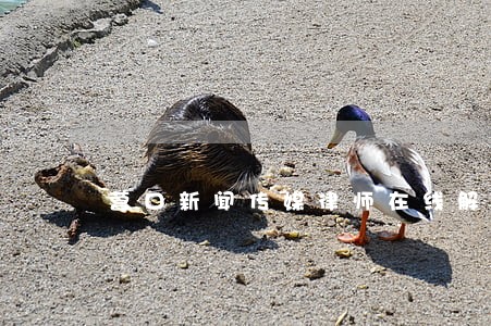 营口新闻传媒律师在线解答 营口新闻传媒律师在线解答