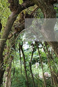 营口法律援助电话号码 营口法律援助电话号码