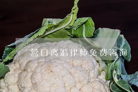 营口离婚律师免费咨询 营口离婚律师免费咨询