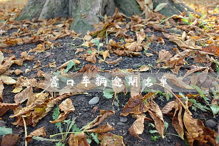 营口车辆逾期名单