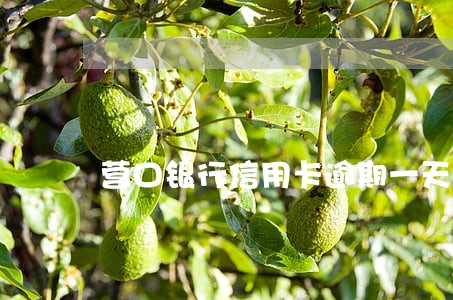 营口银行信用卡逾期一天 营口银行信用卡逾期一天