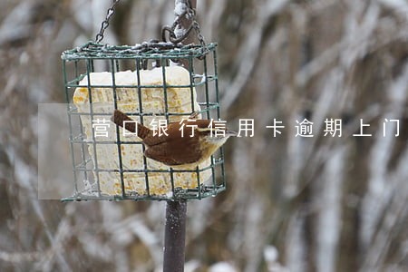 营口银行信用卡逾期上门
