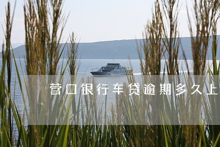 营口银行车贷逾期多久上门 营口银行车贷逾期多久上门