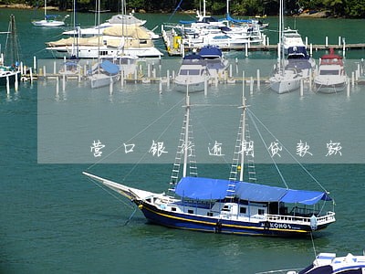 营口银行逾期贷款额