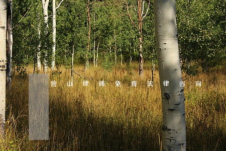 营山律师免费法律咨询 营山律师免费法律咨询