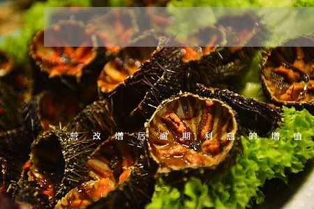 营改增后逾期利息的增值税