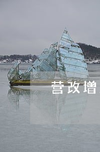 营改增后逾期未申报