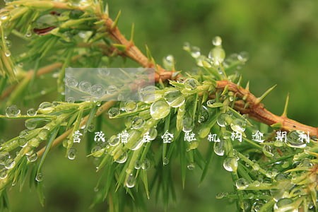 营改增后金融机构逾期利息