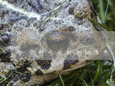 营转非逾期车辆名单